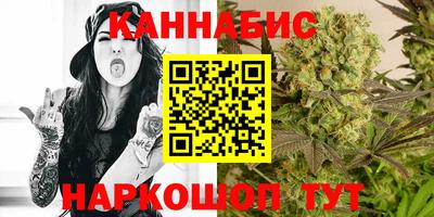 прущие крисы Новозыбков