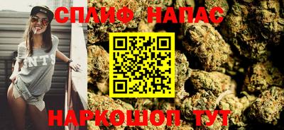 стафф Обь