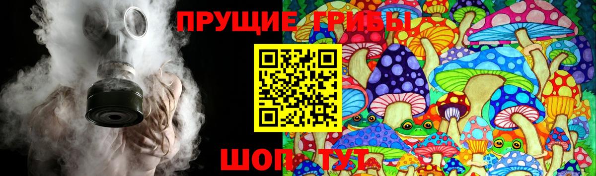 Галлюциногенные грибы прущие грибы  Вход с VPN  как найти наркотики  Коркино 